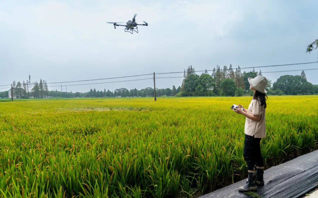 1229_115443_943.jpg 1229_115443_943.jpg