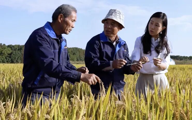 1229_115458_118.jpg 1229_115458_118.jpg