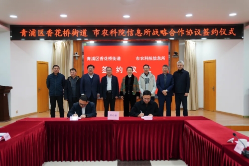新合作新机遇！这场签约擘画青浦农业发展新蓝图