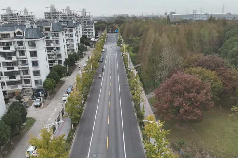 一条路、一间屋、一条河……青浦这样把代表委员“金点子”变成群众“幸福感”丨喜迎两会