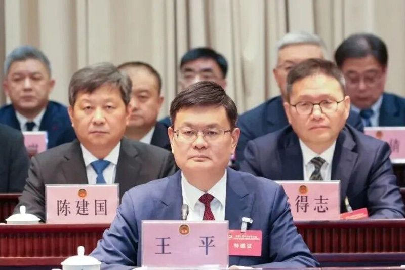 区委书记王平出席区政协六届五次会议开幕大会