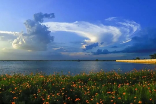 遇节气·游青浦｜慢一点，再慢一点，在青浦接住凉爽的秋风