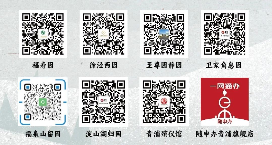 青浦民政：移风易俗，寄思念，向云端