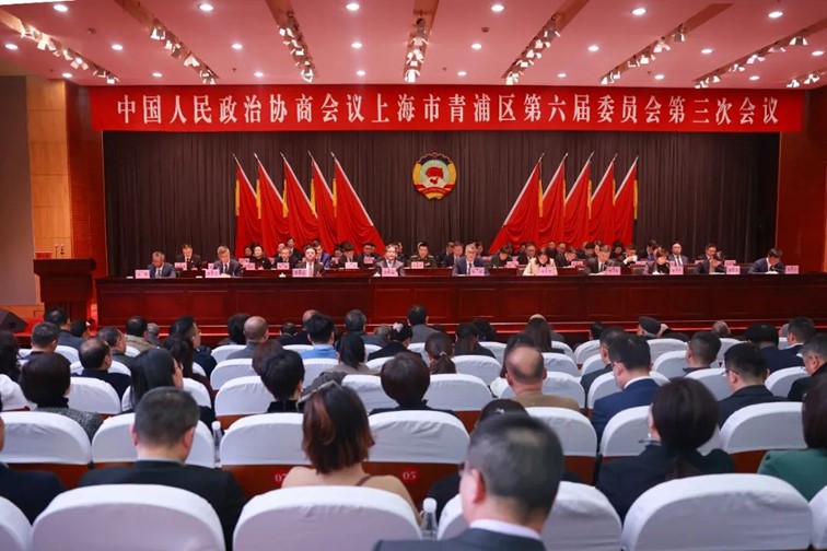 发挥专门协商机构作用，助力中国式现代化青浦实践！政协上海市青浦区第六届委员会2024年履职综述丨喜迎两会