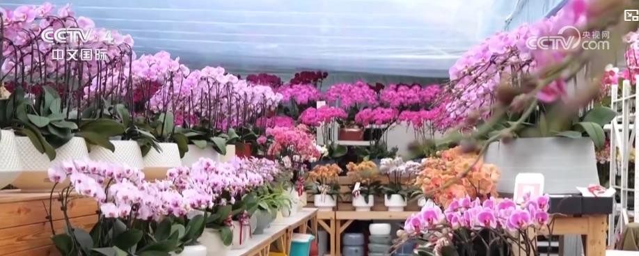 【国务院信息】各地新春市集年味正浓 节前消费市场“热气腾腾”