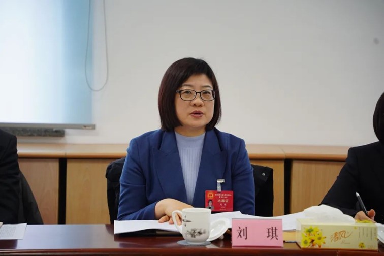 凝心聚力谋发展，砥砺奋进谱新篇，区人大代表热议政府工作报告