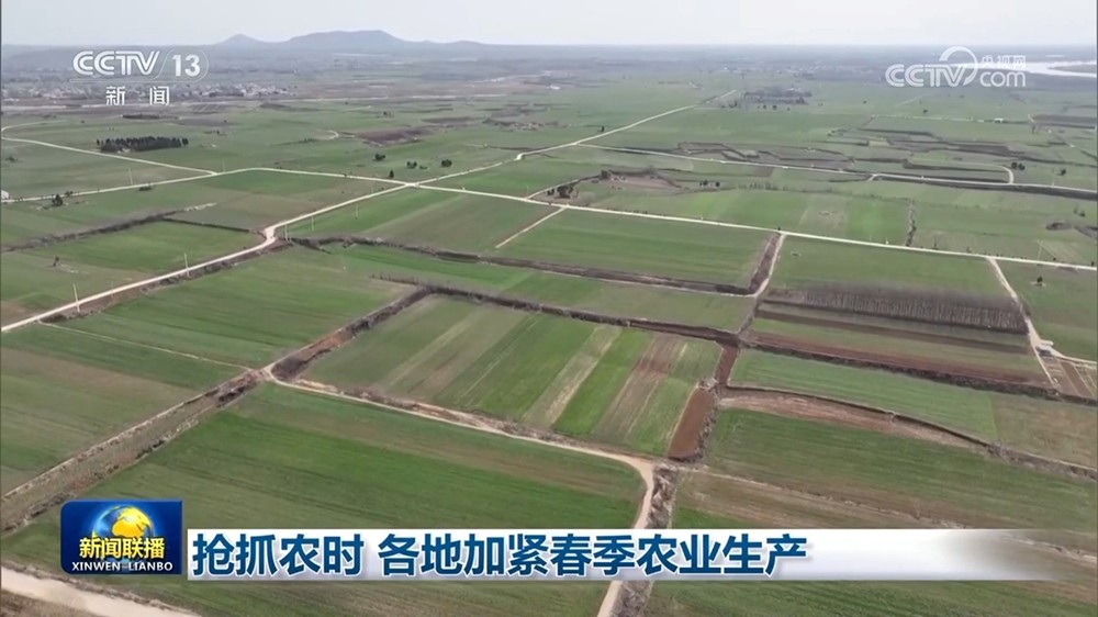 【国务院信息】多领域齐头并进促发展 我国节后经济春意浓、动力足