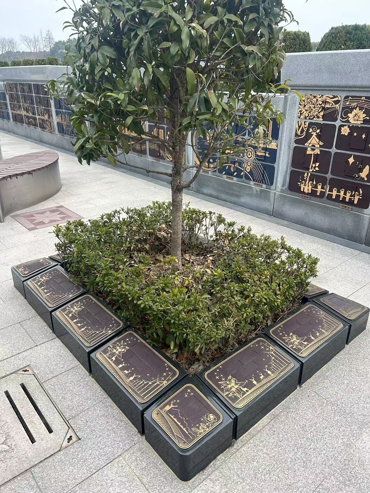 徐泾西园