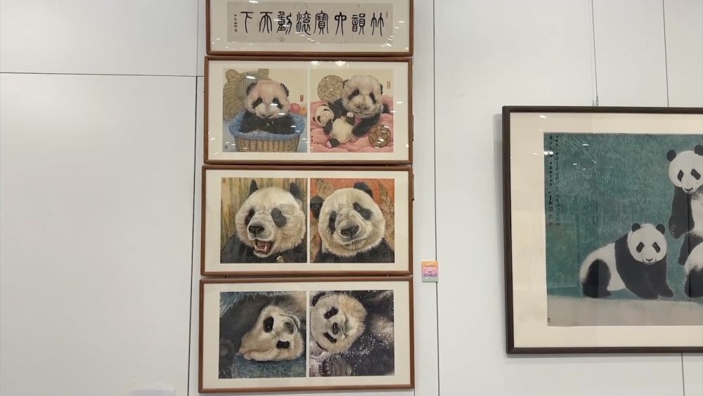 【国务院信息】新华视点｜暑期文旅市场亮点纷呈：从清凉游到主题展