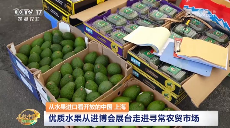 一周进博声音（9月17日至23日）