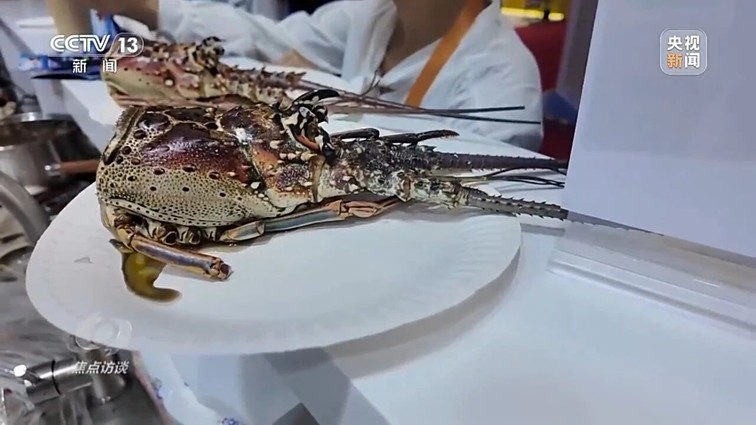 焦点访谈丨从“世界好物”到“全球商机” 进博八年交出亮眼“成绩单”