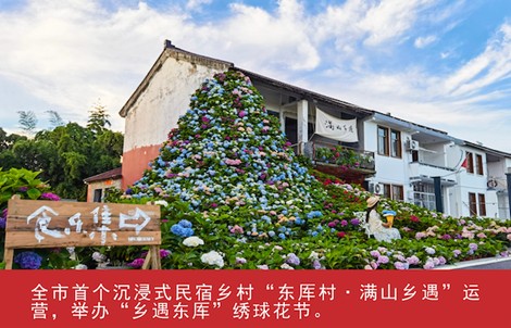 我家这五年丨同心筑梦绘盛景，踏浪奋楫启新程