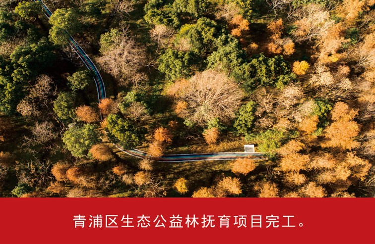 我家这五年丨同心筑梦绘盛景，踏浪奋楫启新程