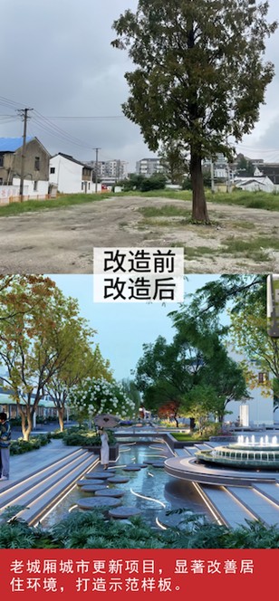 我家这五年丨同心筑梦绘盛景，踏浪奋楫启新程