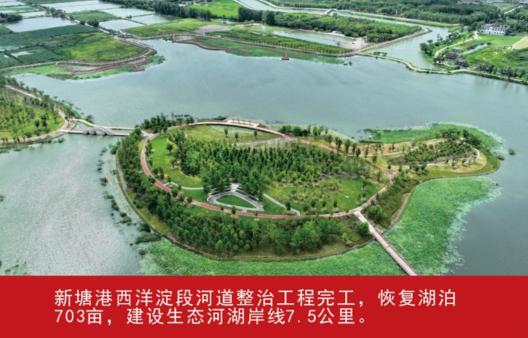 我家这五年丨同心筑梦绘盛景，踏浪奋楫启新程