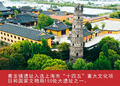 我家这五年丨同心筑梦绘盛景，踏浪奋楫启新程