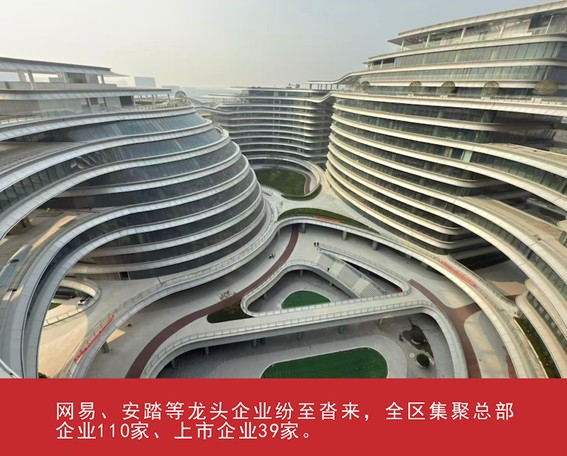 我家这五年丨同心筑梦绘盛景，踏浪奋楫启新程