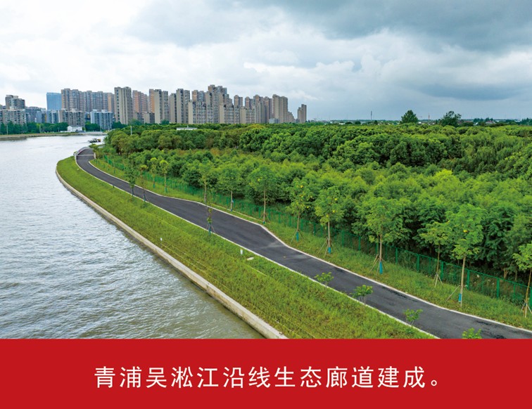 我家这五年丨同心筑梦绘盛景，踏浪奋楫启新程