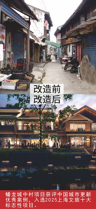 我家这五年丨同心筑梦绘盛景，踏浪奋楫启新程