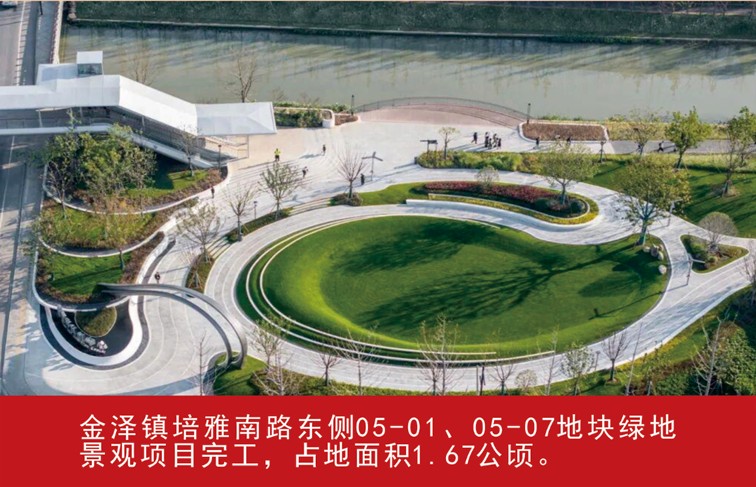 我家这五年丨同心筑梦绘盛景，踏浪奋楫启新程