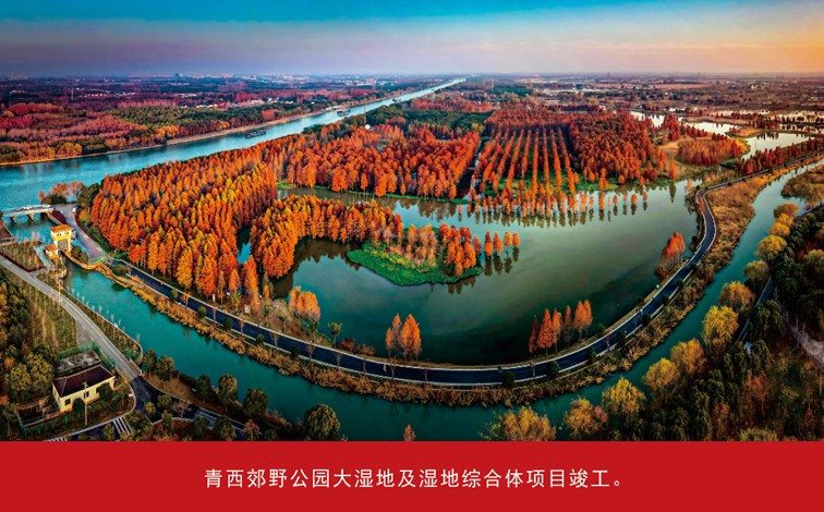 我家这五年丨同心筑梦绘盛景，踏浪奋楫启新程