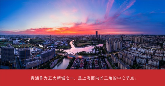 我家这五年丨同心筑梦绘盛景，踏浪奋楫启新程