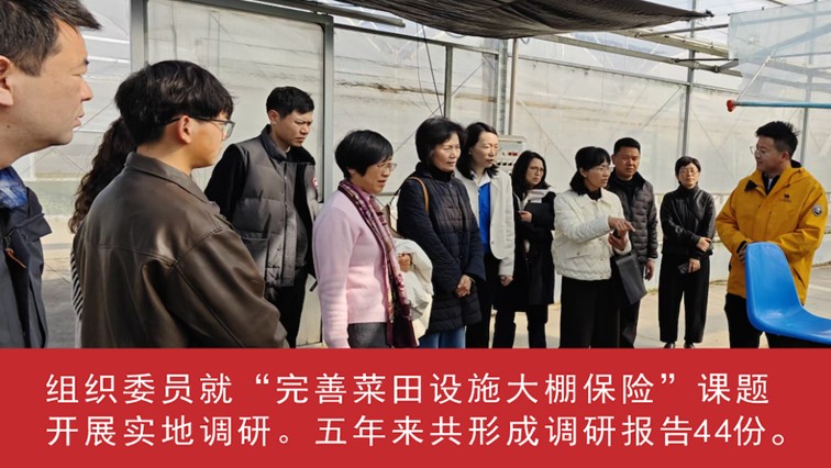 我家这五年丨同心筑梦绘盛景，踏浪奋楫启新程