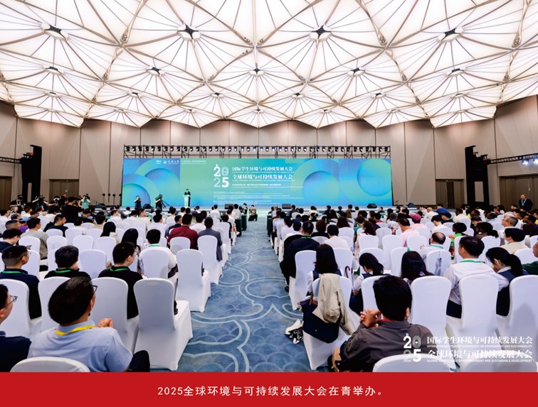 我家这五年丨同心筑梦绘盛景，踏浪奋楫启新程