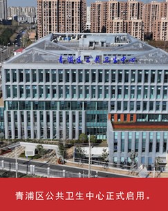 我家这五年丨同心筑梦绘盛景，踏浪奋楫启新程