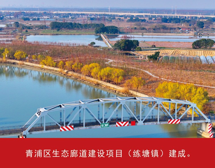 我家这五年丨同心筑梦绘盛景，踏浪奋楫启新程