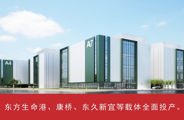 我家这五年丨同心筑梦绘盛景，踏浪奋楫启新程