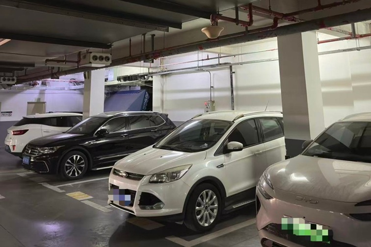 喜迎两会丨大道变美、堤防升级、车库有网……青浦用高水平建设，回应每一个民声期盼