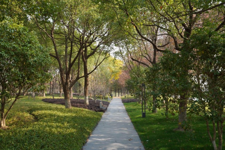 喜迎两会丨大道变美、堤防升级、车库有网……青浦用高水平建设，回应每一个民声期盼