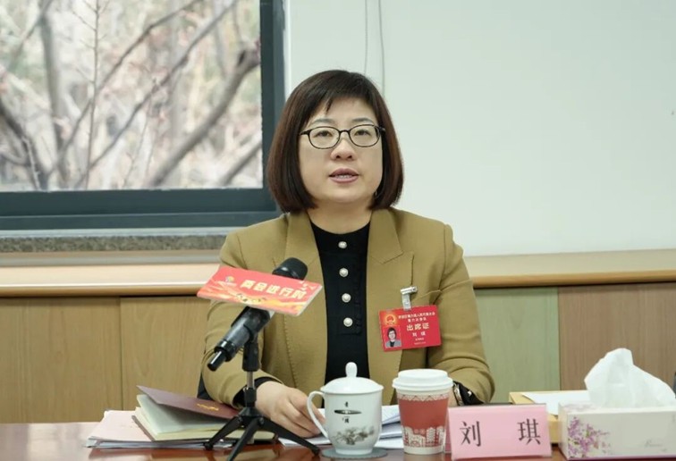 履职尽责献良策，凝心聚力促发展！区人大代表热议政府工作报告、“十五五”规划纲要（草案）