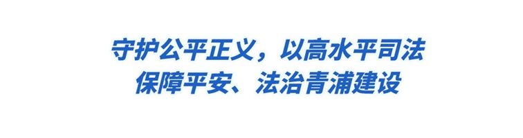 一图读懂青浦区人民法院2025年度工作报告