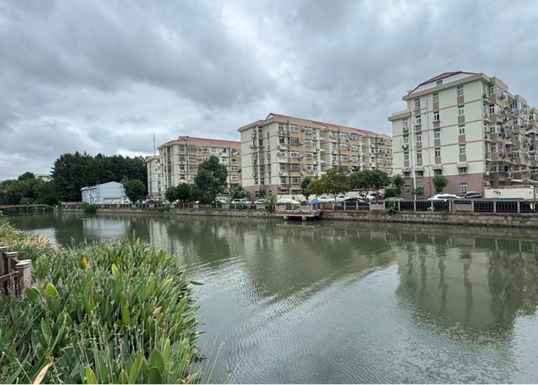 一条路、一间屋、一条河……青浦这样把代表委员“金点子”变成群众“幸福感”丨喜迎两会