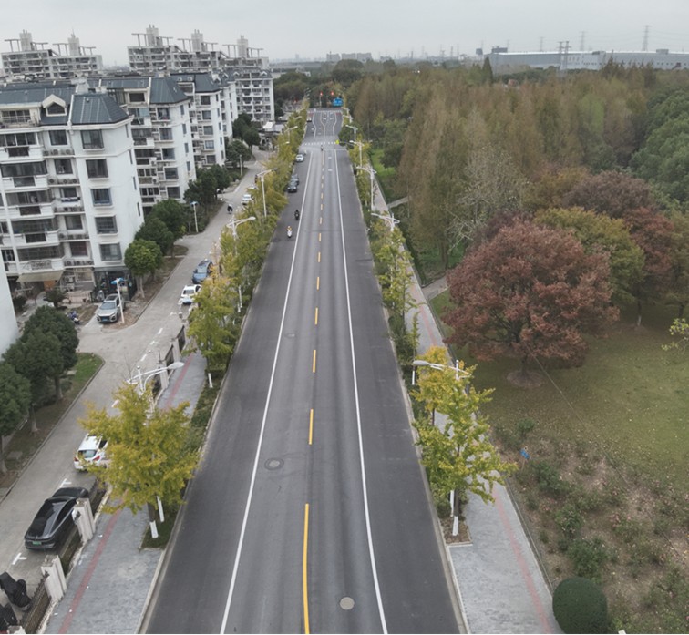 一条路、一间屋、一条河……青浦这样把代表委员“金点子”变成群众“幸福感”丨喜迎两会