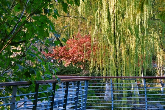 2026逛青浦环城水系公园指南 2026逛青浦环城水系公园指南