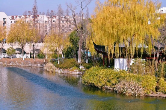 2026逛青浦环城水系公园指南 2026逛青浦环城水系公园指南