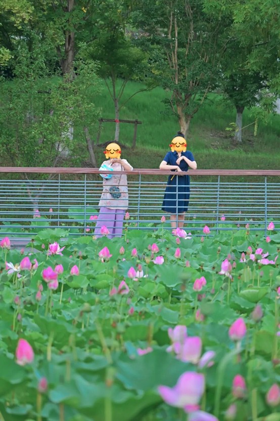 2026逛青浦环城水系公园指南 2026逛青浦环城水系公园指南