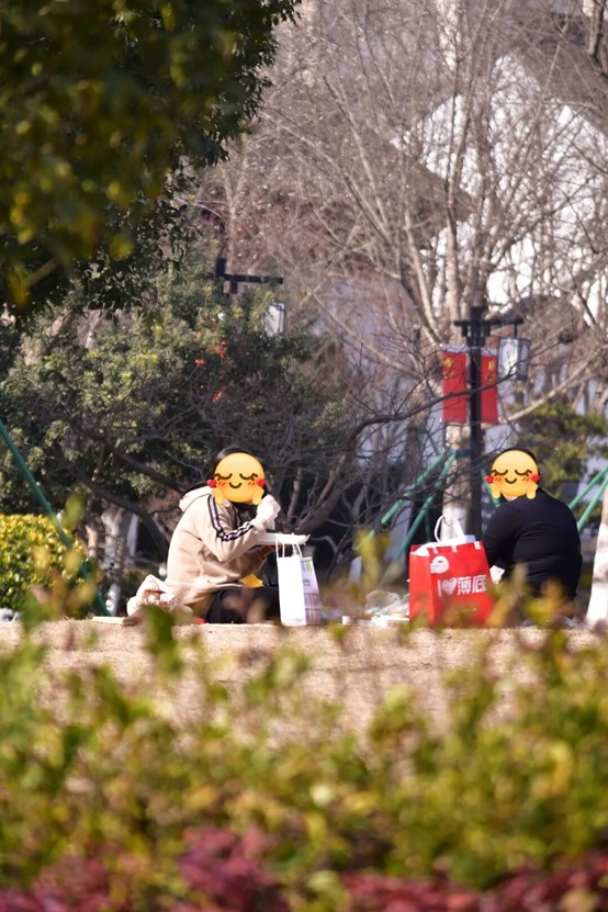 2026逛青浦环城水系公园指南 2026逛青浦环城水系公园指南