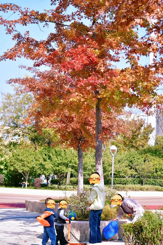 2026逛青浦环城水系公园指南 2026逛青浦环城水系公园指南