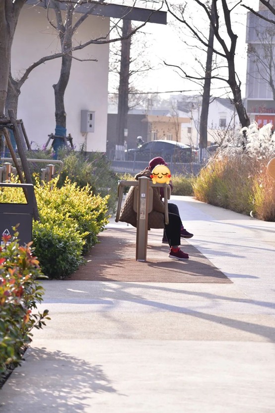 2026逛青浦环城水系公园指南 2026逛青浦环城水系公园指南