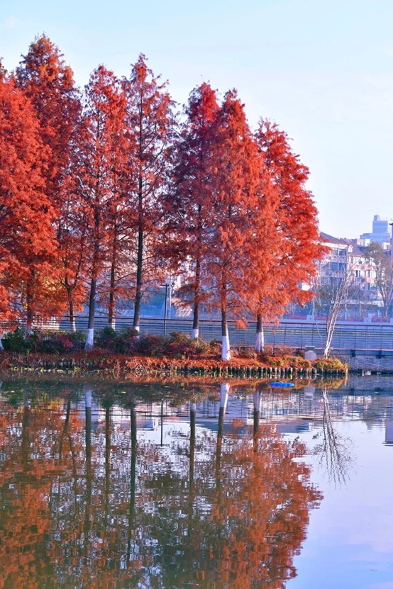 2026逛青浦环城水系公园指南 2026逛青浦环城水系公园指南