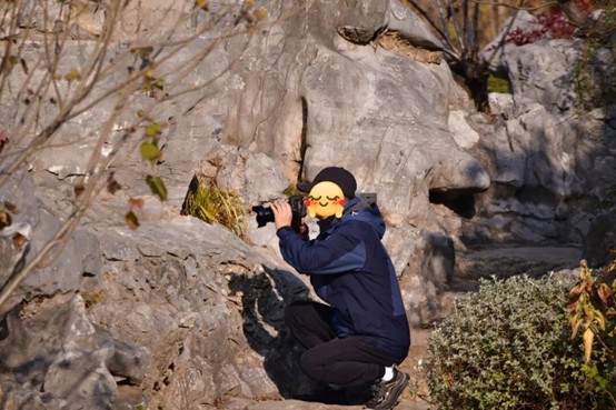 2026逛青浦环城水系公园指南 2026逛青浦环城水系公园指南