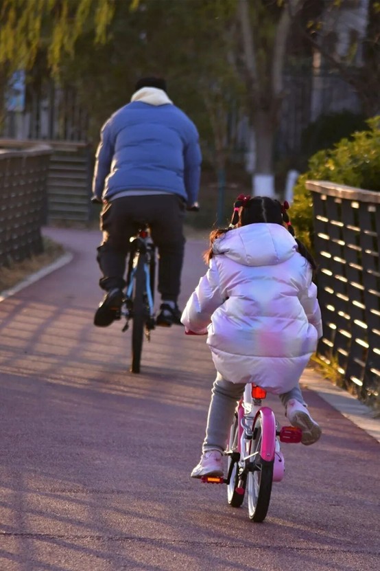 2026逛青浦环城水系公园指南 2026逛青浦环城水系公园指南