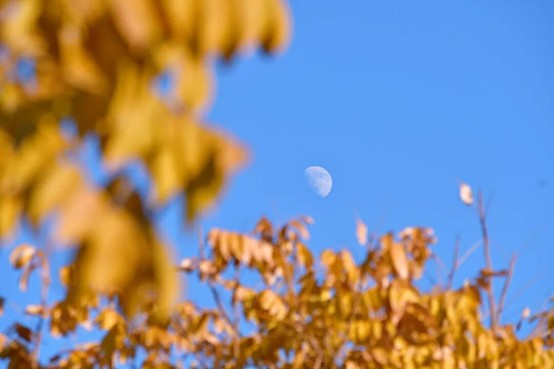 2026逛青浦环城水系公园指南 2026逛青浦环城水系公园指南