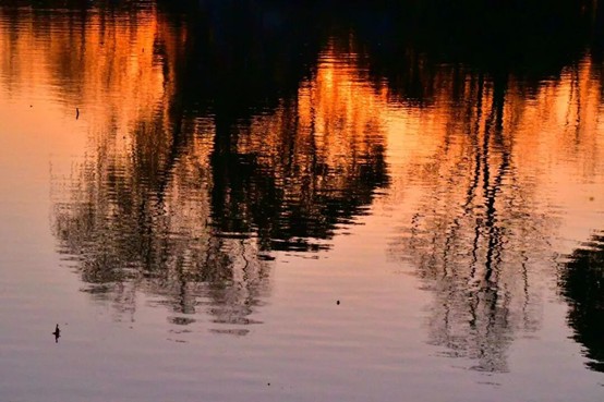 2026逛青浦环城水系公园指南 2026逛青浦环城水系公园指南