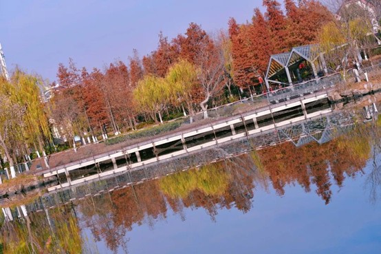 2026逛青浦环城水系公园指南 2026逛青浦环城水系公园指南