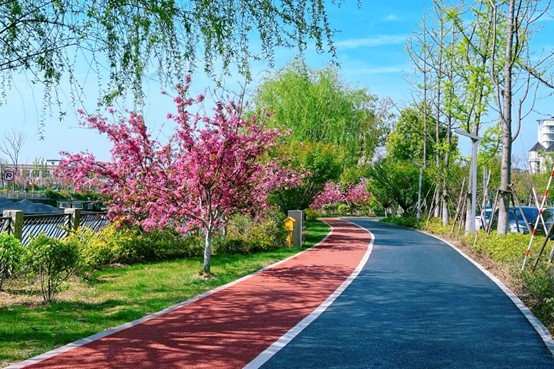 2026逛青浦环城水系公园指南 2026逛青浦环城水系公园指南